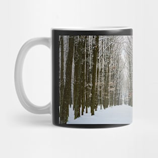 Oak forest in the winter Mug